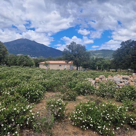 Domaine U Filanciu, Maison Ghjulia avec piscine - Centre Corse Moltifao Extérieur photo