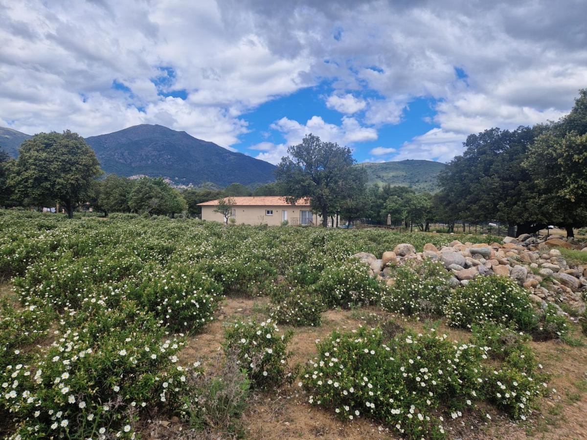 Domaine U Filanciu, Maison Ghjulia avec piscine - Centre Corse Moltifao Extérieur photo